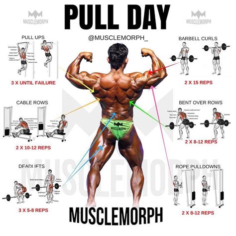 Pull Day Give This Workout A Trylikesave And Follow Musclemorph For