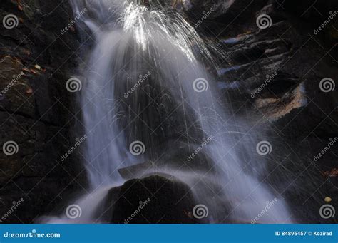Source Vistula Crystalline Stream Clean Water Stock Image Image Of