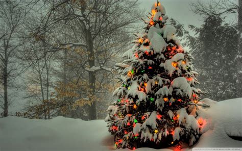 15 Hd Christmas Tree Wallpapers For Windows 8