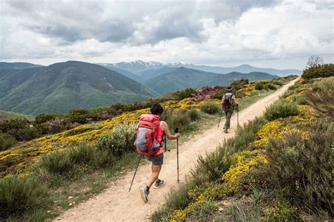 Part 3 Camino FrancÉs LeÓn To Santiago De Compostela Andaspain