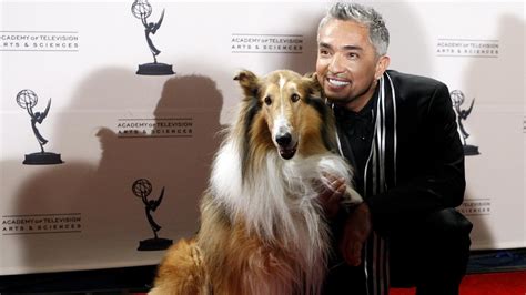 Dog Whisperer Cesar Millan Death Rumors Debunked