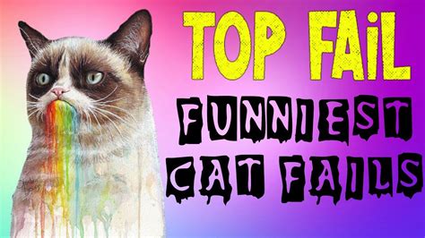 Top 100 Funniest Cat Fails Compilation Youtube