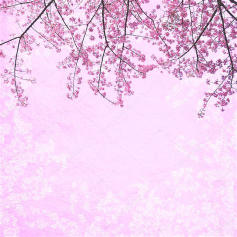 Background Bunga Sakura Pink 1024x1024 Download Hd Wallpaper