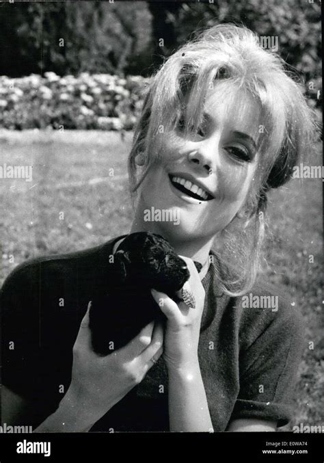 Catherine Deneuve 1962 Hi Res Stock Photography And Images Alamy