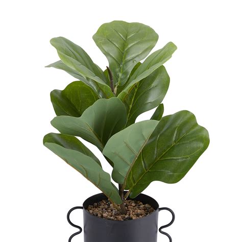 Artificial Fiddle Leaf In Pot Kmart