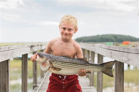 Child Holding Fish After Returning From Fishing By Stocksy