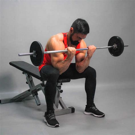 Barbell Sitting Biceps Curl Fit Drills Website