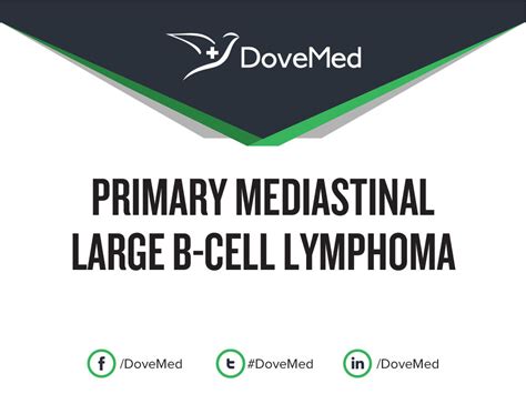 Primary Mediastinal Large B Cell Lymphoma