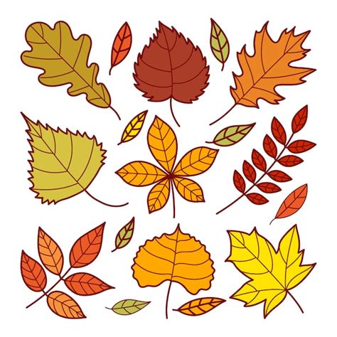 Premium Vector Autumn Leaf Doodle