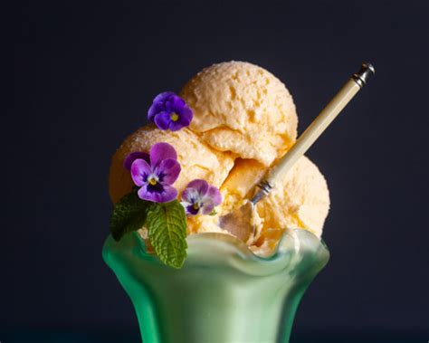 Cantaloupe Ice Cream Primal Wellness