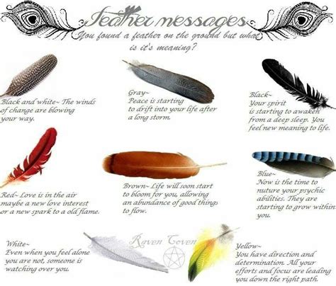 Feather Messages Feather Meaning Feather Magic Feather