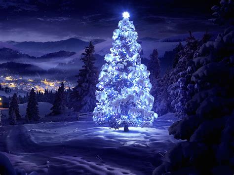 Download Snowy Christmas Tree Wallpaper Hd S By Dennism64 Snowy
