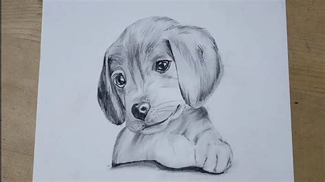 Pencil Drawing Of A Puppy Puppy Drawing Pencil Drawings Puppies