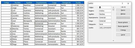 Excel Avanzado Con Ejemplos Prácticos → Formularios En Excel