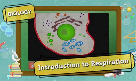 MIZORAM Class 10 Biology Life Processes Introduction To Respiration