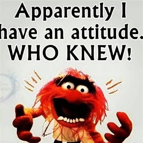 Animal Muppets Quote Muppets Funny Muppets Quotes