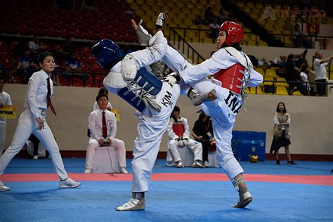 Ina Wta Asian Open Taekwondo Championship 2019 3