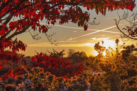 Beautiful Fall Sunset Oc Pics