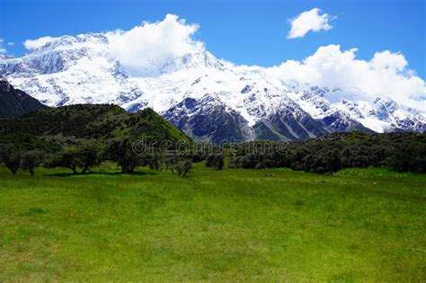 Green Meadow With Snow Capped Mountains Under Blue Sky Stock Image