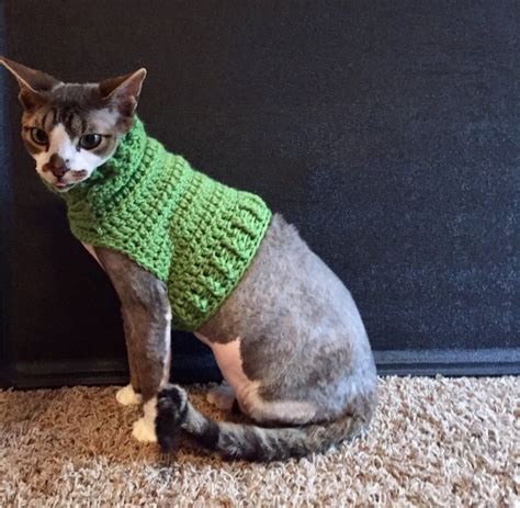 Handy with a crochet hook? Crochet a Cool Cat Sweater! Foxy Feline Sweater Pattern By ...