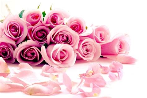 Pink Flowers Backgrounds ·① Wallpapertag