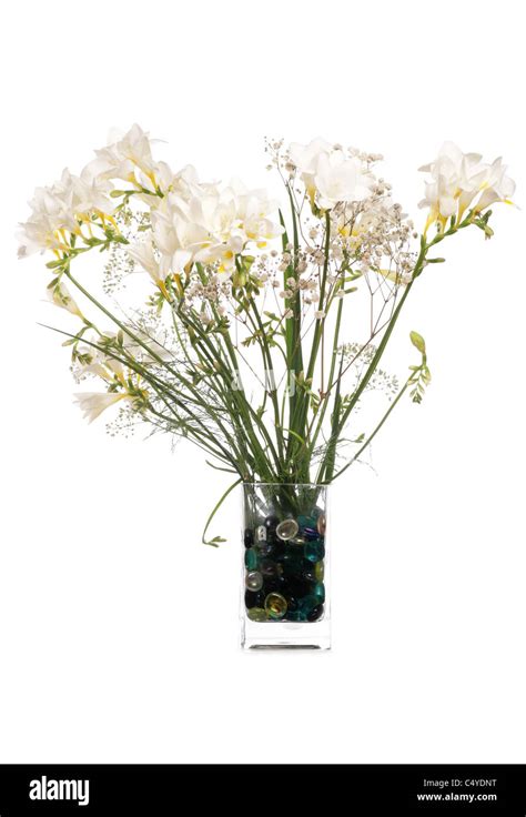 White Flowers In A Vase Studio Cutout Stock Photo Alamy