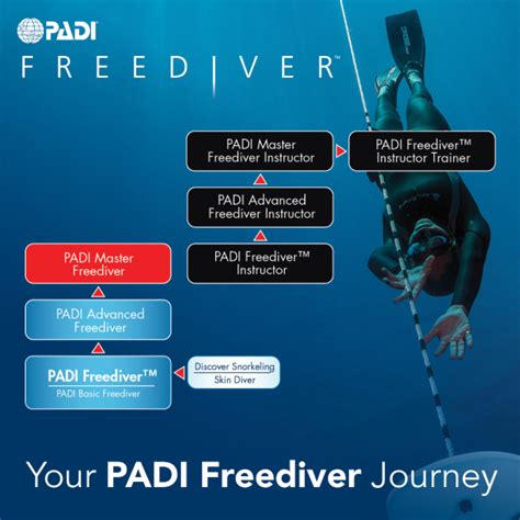PADI BASIC Freediver Taster Session Freedivers UK