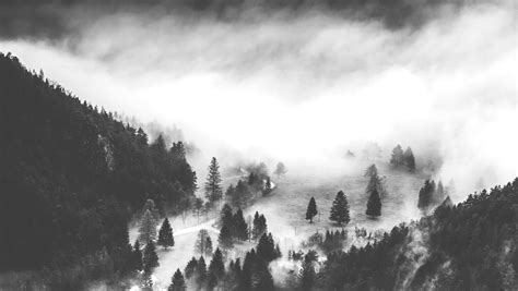 Tree Covered Mountains And Fog Free Image Peakpx
