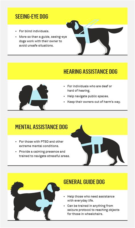 How To Get A Service Dog A Complete Guide Gallant