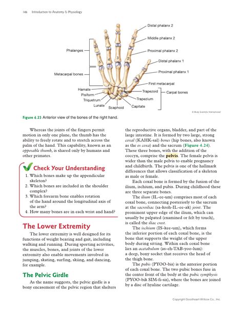 Introduction To Anatomy And Physiology 2nd Edition Page 146