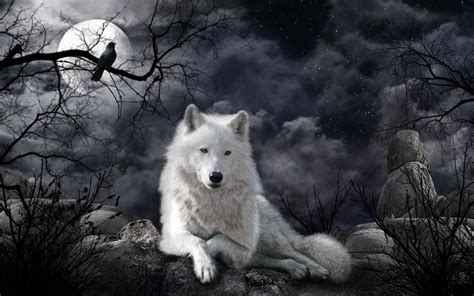 Raven and Wolf Wallpapers on WallpaperDog