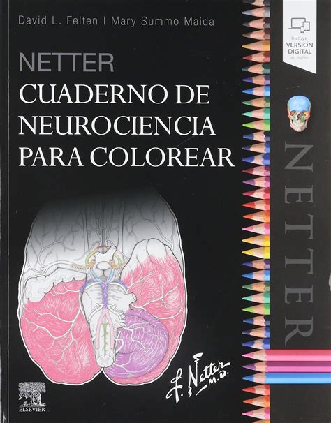 Atlas De Anatomia Humana Netter Para Colorear Netter E O Principal