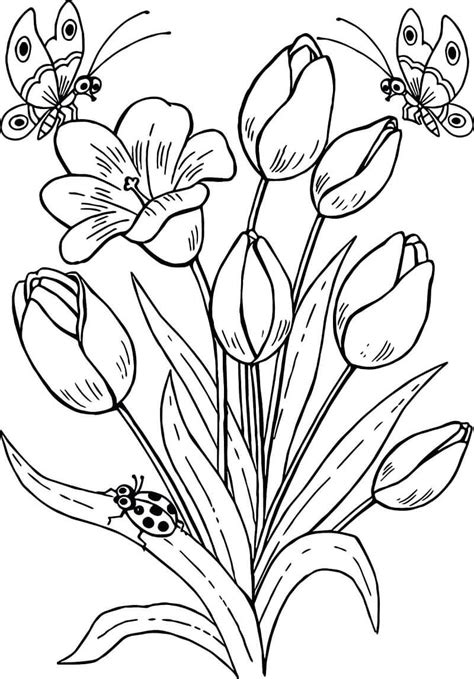 18 Desenhos Para Colorir Flores Tulipas Desenhos Imagini 2021 Images