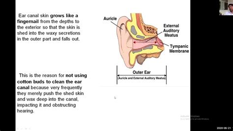 Human Physiology Of Hearing Part 2 Youtube