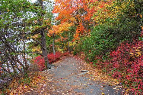 Autumn Pathway Photograph By Jeff Severson Fine Art America