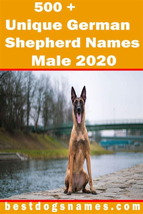 German Shepherd Unique Male Dog Names 2020