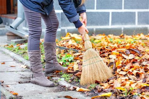 A Woman With A Broom In Her Hands Sweeps The Fallen Yellow Leaves On An