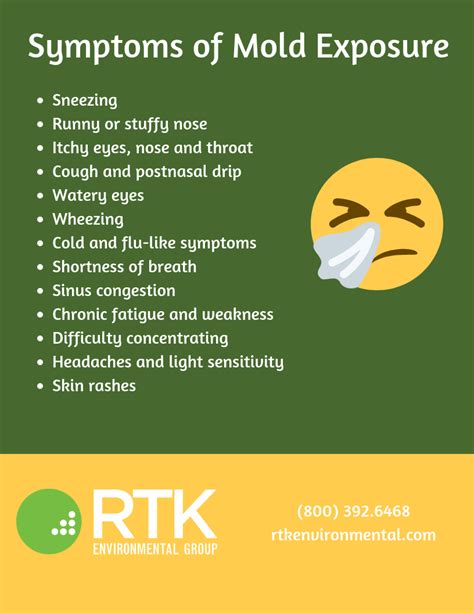 Symptoms Of Mold Exposure Rtk Environmental Group