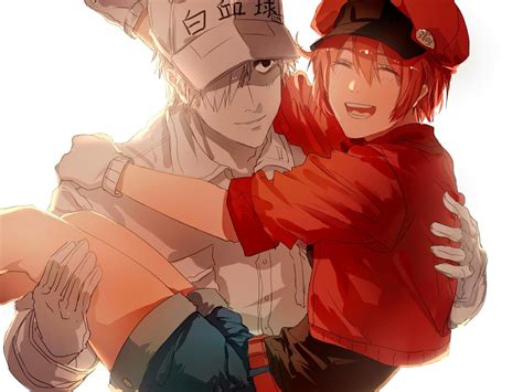 A ditzy red blood cell who has just started her job, delivering oxygen anime characters that share the same voice with cells at works !(はたらく細胞) white blood cells no. Cells at work | white blood cell x red blood | | Anime ...