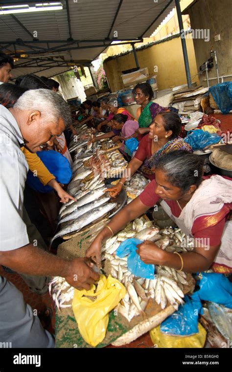 Pondicherry Fishmarket In India Stock Photo Alamy