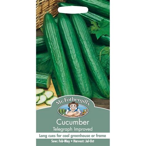 Cucumber Telegraph Improved Mf Veg Seeds Garden Store Online