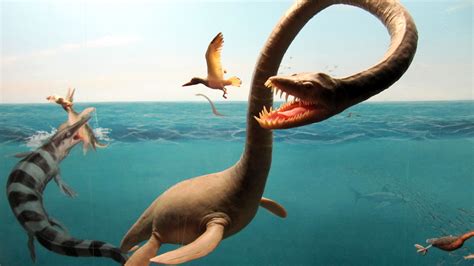 Why The Aquatic Dinosaur Theory Is Damaging To Science Tested