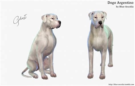 Dogo Argentino At Blue Ancolia Sims 4 Updates