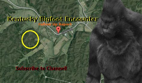 The Crypto Crew Bigfoot Encounter Follow Up Report