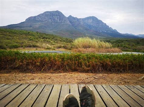 Fynbos Walk In Helderberg Nature Reserve From Cape Town Outdoortrip