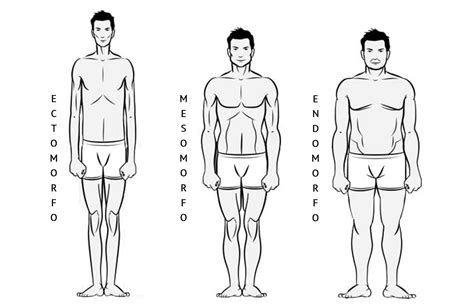 Dibujos De Cuerpos De Hombres Master Deformacion