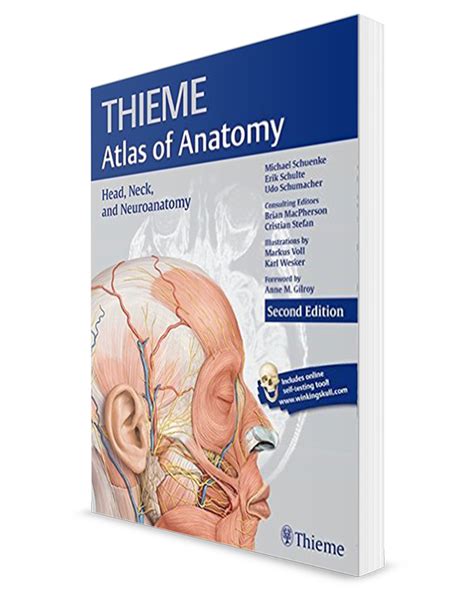 Download Download Students Atlas Of Neuroanatomy Pdf Free | Car Design Books Pdf Free Download