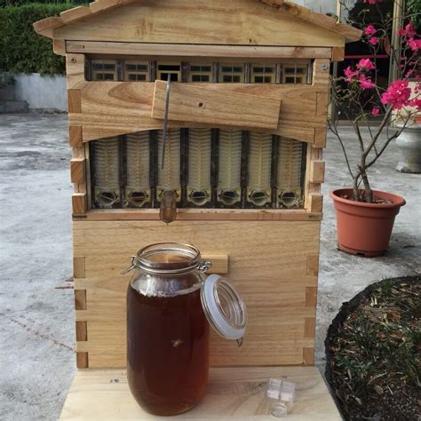 Upgraded Honey Hive Beehive Frame Bee Housebeekeeping Brood Cedarwood
