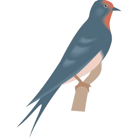 Perched Swallow Png Svg Clip Art For Web Download Clip Art Png Icon