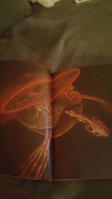 This Amazing Illustration Of A Dead Discworld In The Last Hero R